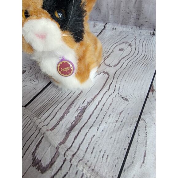 American Girl Doll Retired 5in Pet Plush Calico Cat Ginger With Colar And Tag - Picture 2 of 6